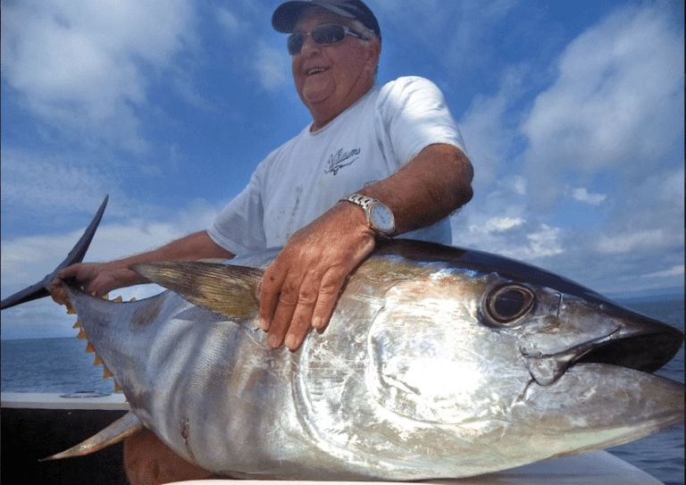 Huge Yellowfish Tuna