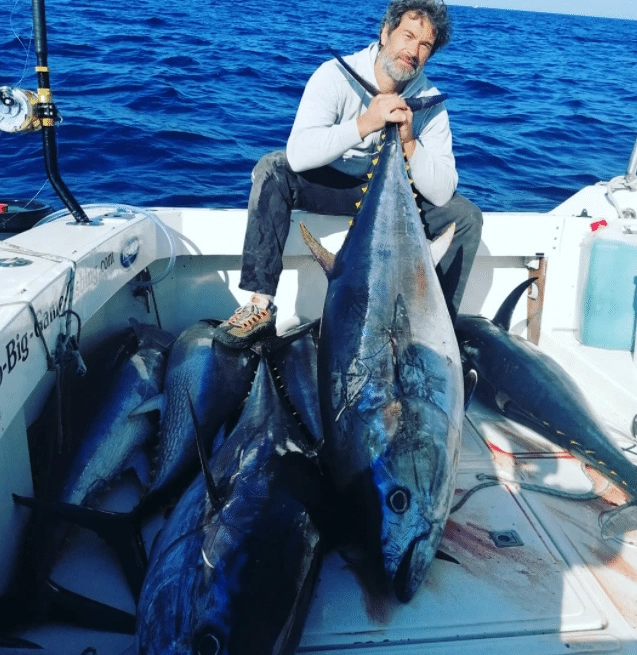 A shoal of tuna caught from Croatian Adriatic sea