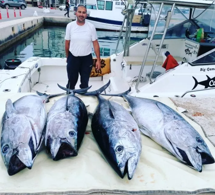 big tuna after a days fishing in Croatia